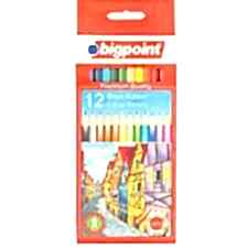 BİGPOİNT KURUBOYA FIRÇALI 12Lİ BP944-12