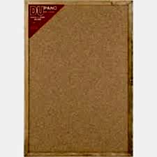 DUPANO 60x90 MANTAR PANO İRİDİŞ