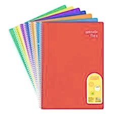 ÇINAR Defter A4 spr.pls.kpk.96/1 çizgili colormaxi