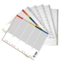 BİGPOİNT SEPERATÖR  1-31   BP227-31